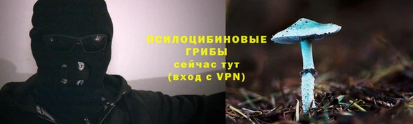 мдпв Горнозаводск