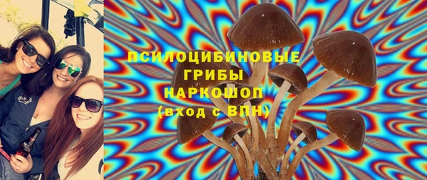 apvp Вяземский