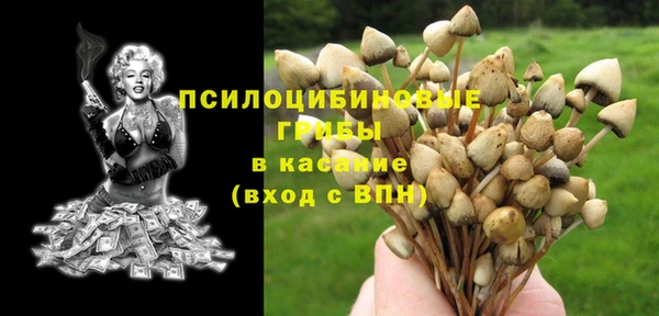 мдпв Горнозаводск
