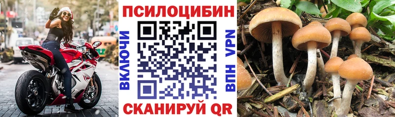 Псилоцибиновые грибы Psilocybe  где купить   Самара 