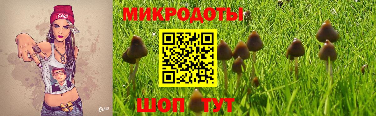 Галлюциногенные грибы GOLDEN TEACHER Самара